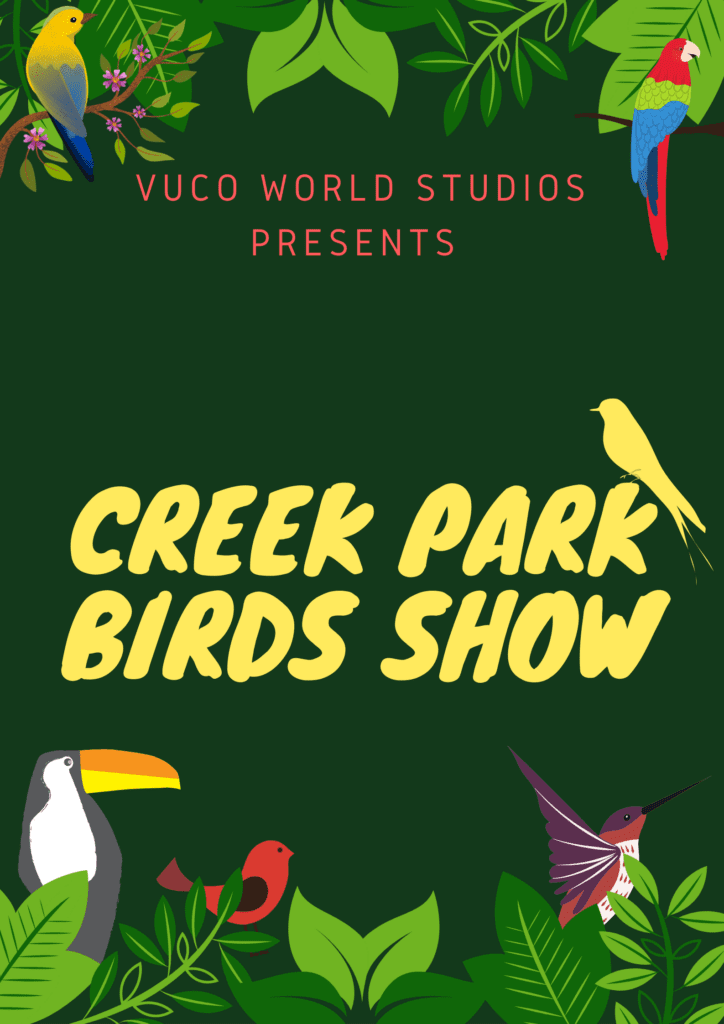 Creek Park Birds Show